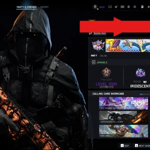 LVL 1000 Account/mw2 stacked